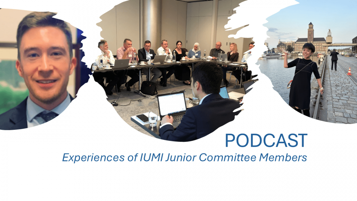Iumi International Union of Marine Insurance